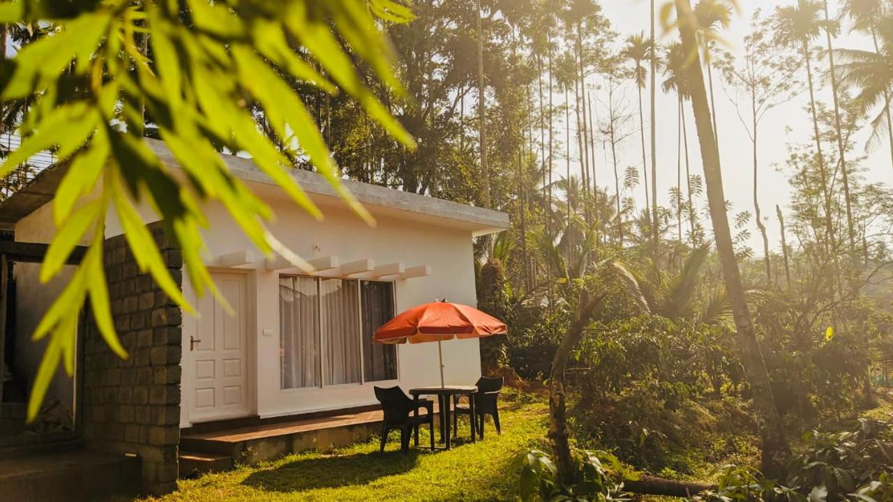 Silver Oak By Exuberance Stays Wayanad Exterior photo