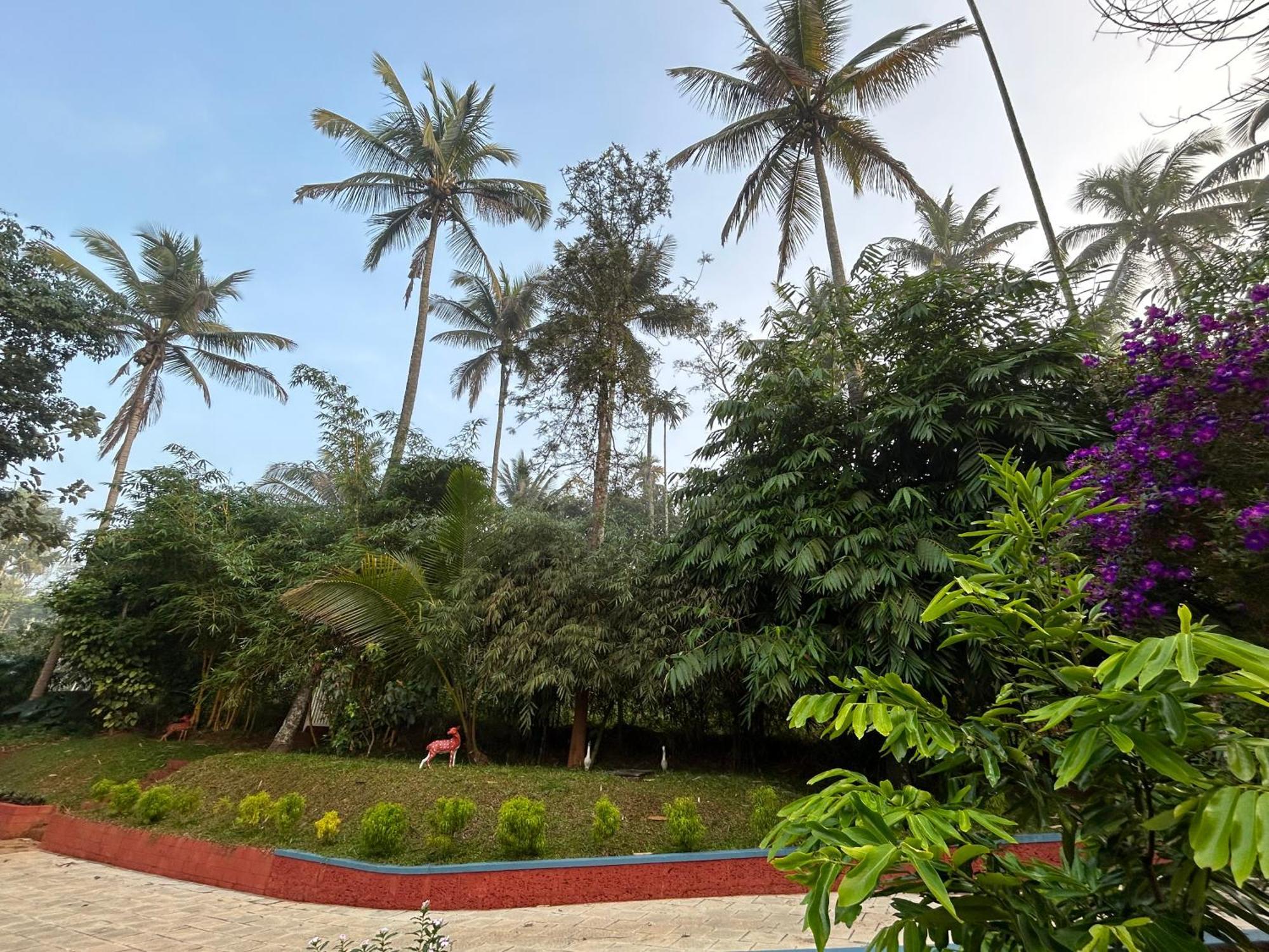 Silver Oak By Exuberance Stays Wayanad Exterior photo
